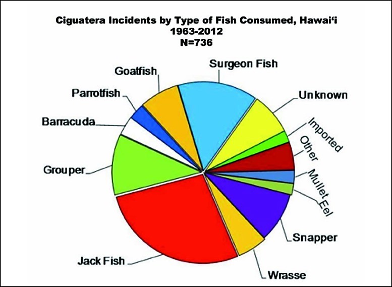 Ciguatera Is My Fish Safe To Eat Hawaii Nearshore Fishing free-images-wild-underwater-tropical-hawaii-fauna-stingray