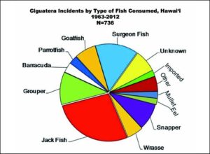hawaiian reef fish toau hawaiian reef fish toau